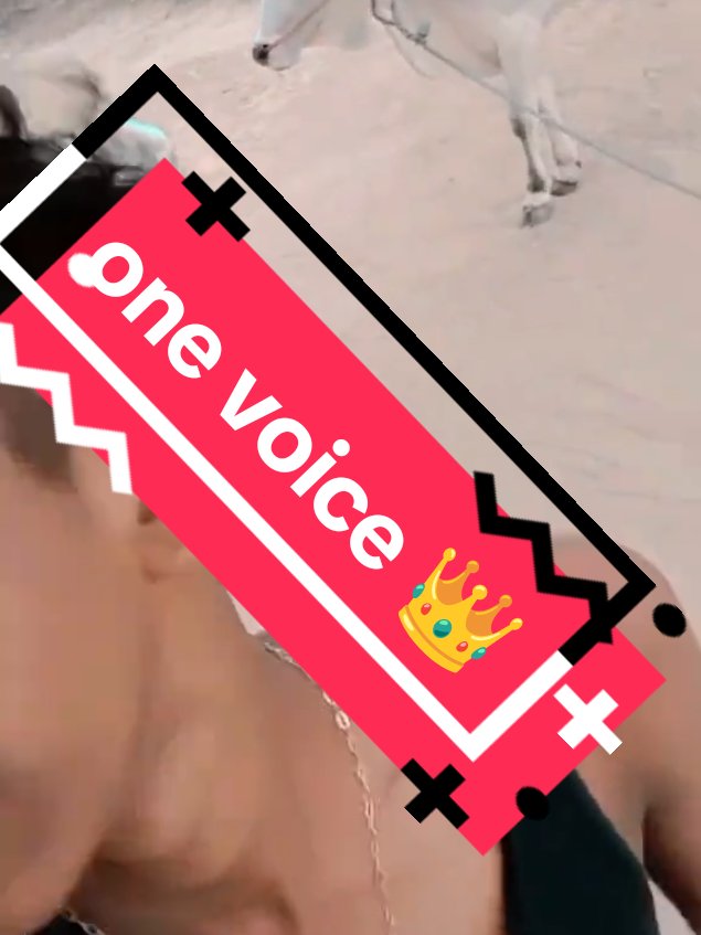@ðáŽÉŽÉŽáŽÊð»áŽÉªÊáŽð· ê±áŽáŽáŽ áŽðáŽðð»ââ