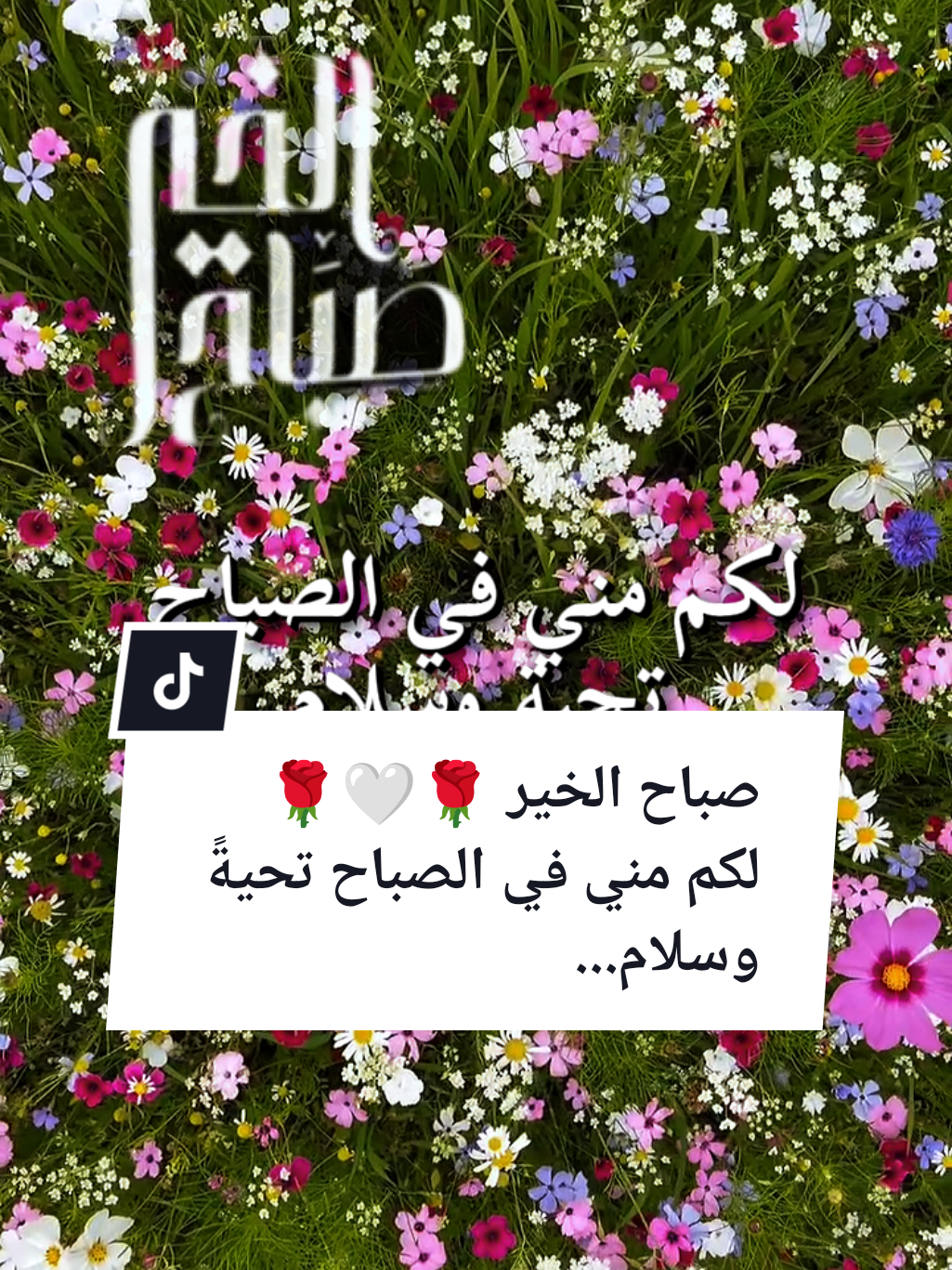 @🌟𝗦𝗼𝘂𝘇𝗮𝗻 𝗖𝗵𝗮𝗺𝘀