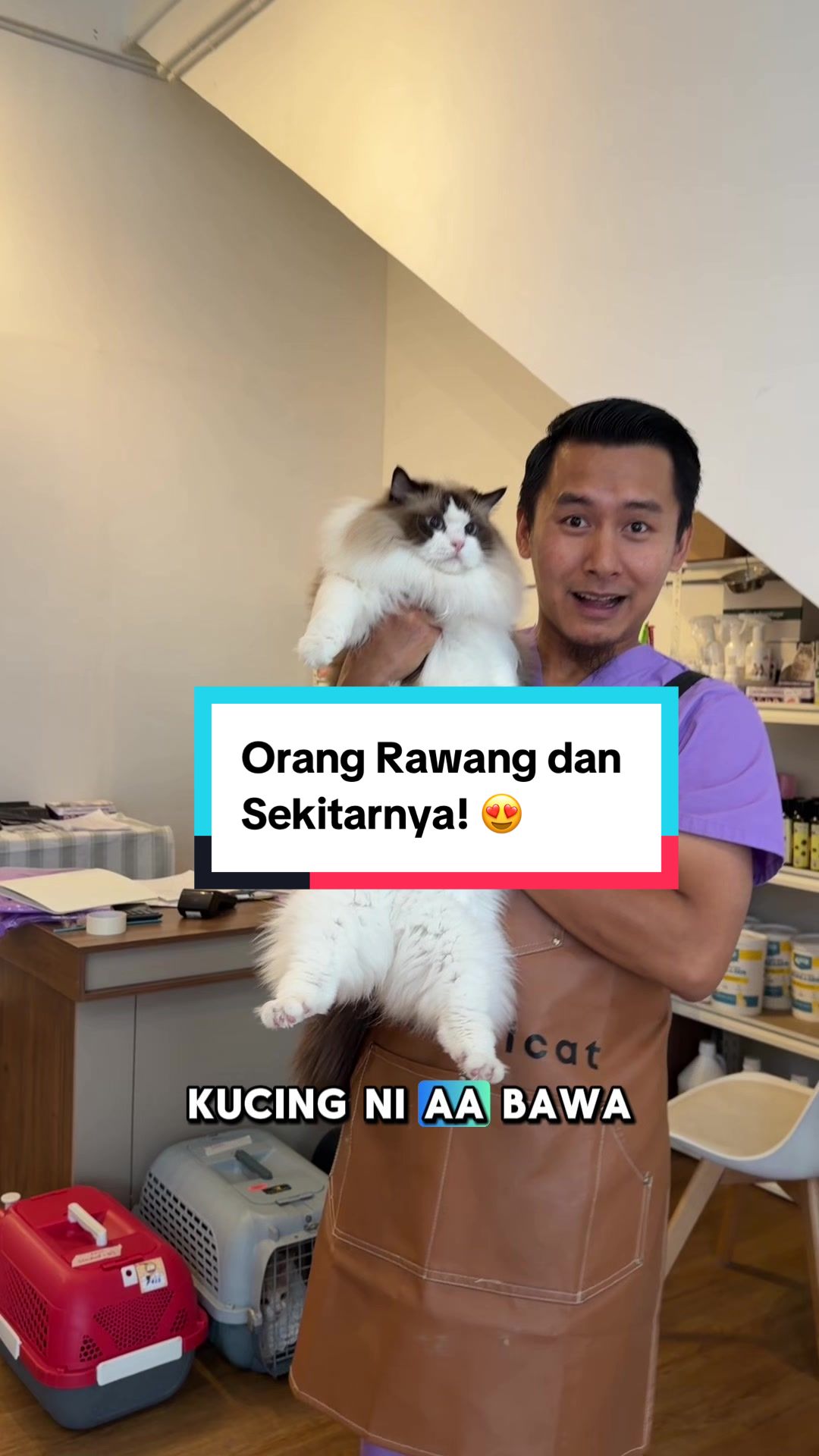 @MOZICAT | CAT GROOMING RAWANG