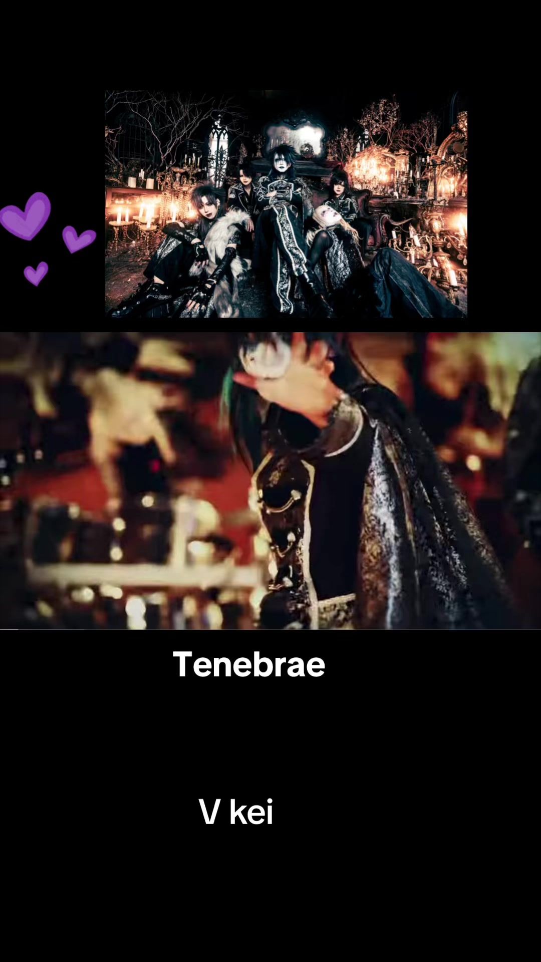 @bibibionique_