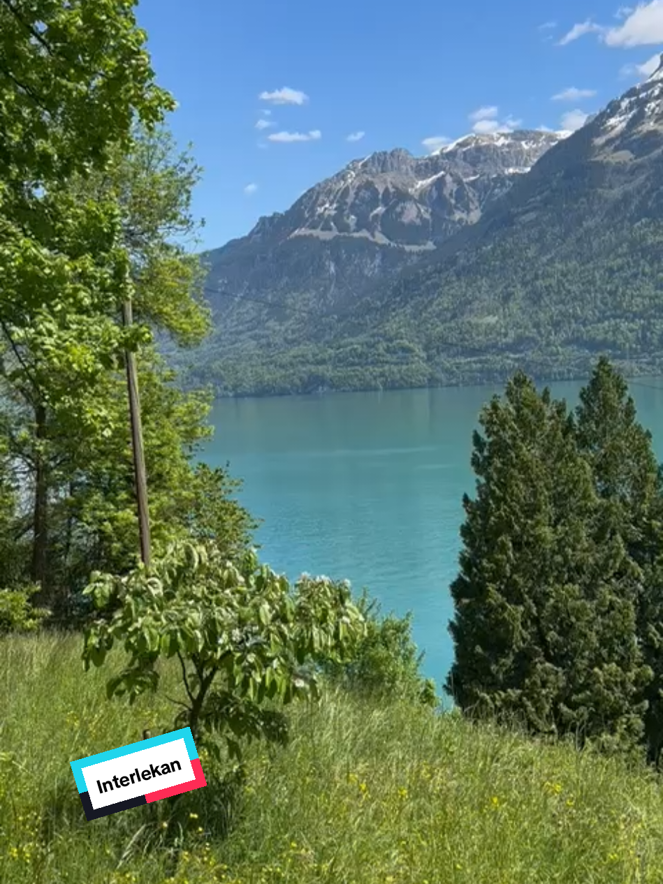 @İsvi&ccedil;redebirturk🇹🇷🇨🇭