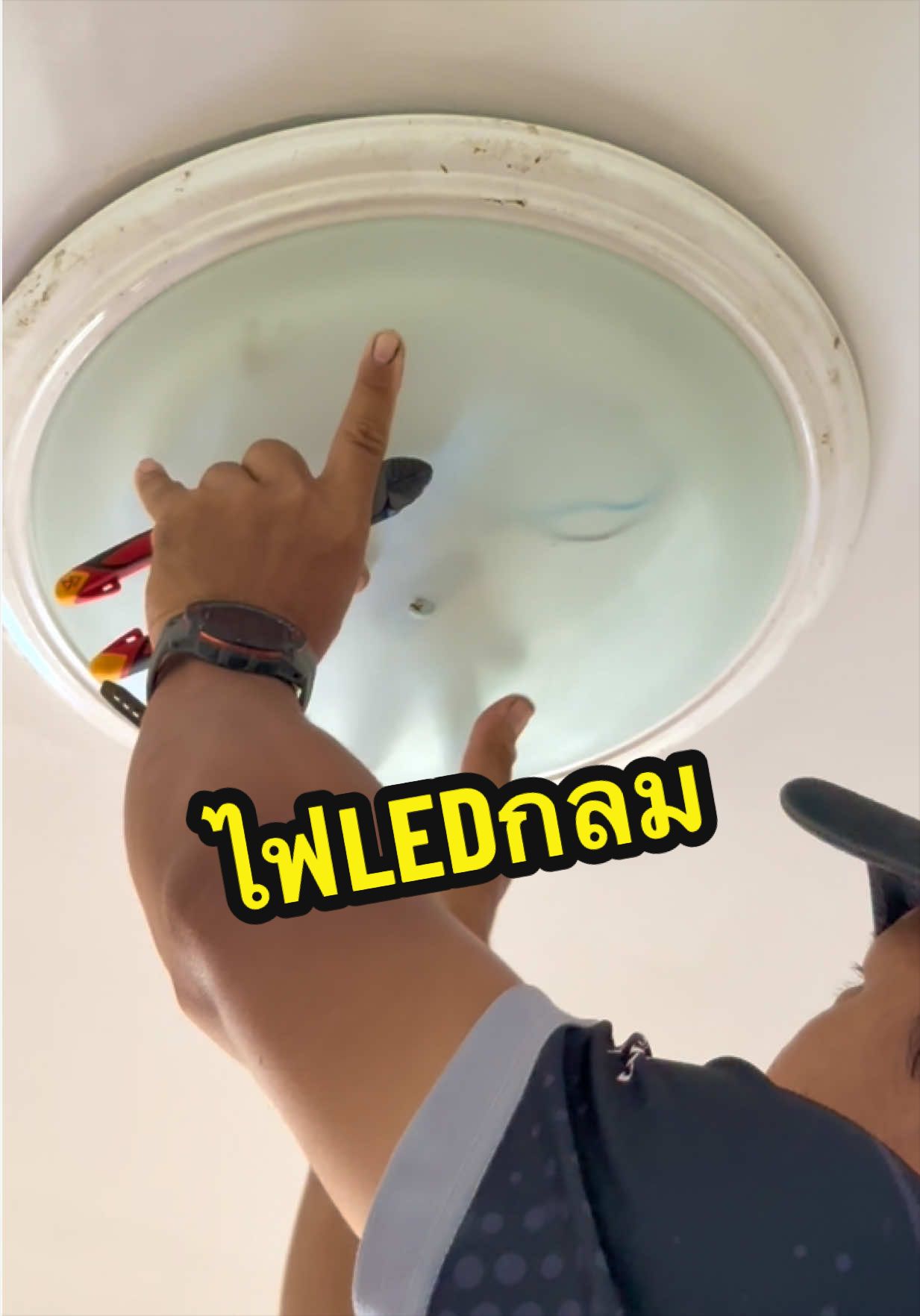 @อ้น บ้านทองกวาว