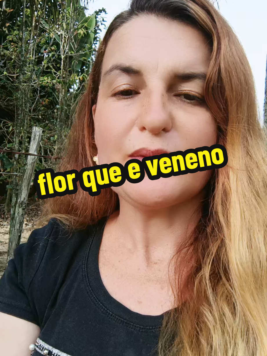 @Elaine Fernandes