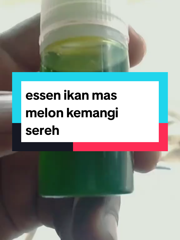 @Berkah FS