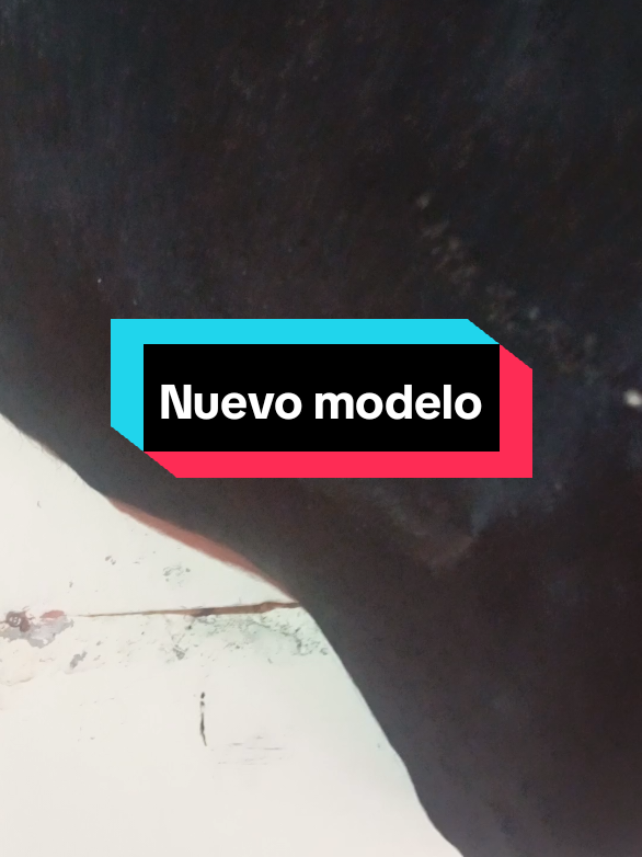 @taxidermiadecorperu