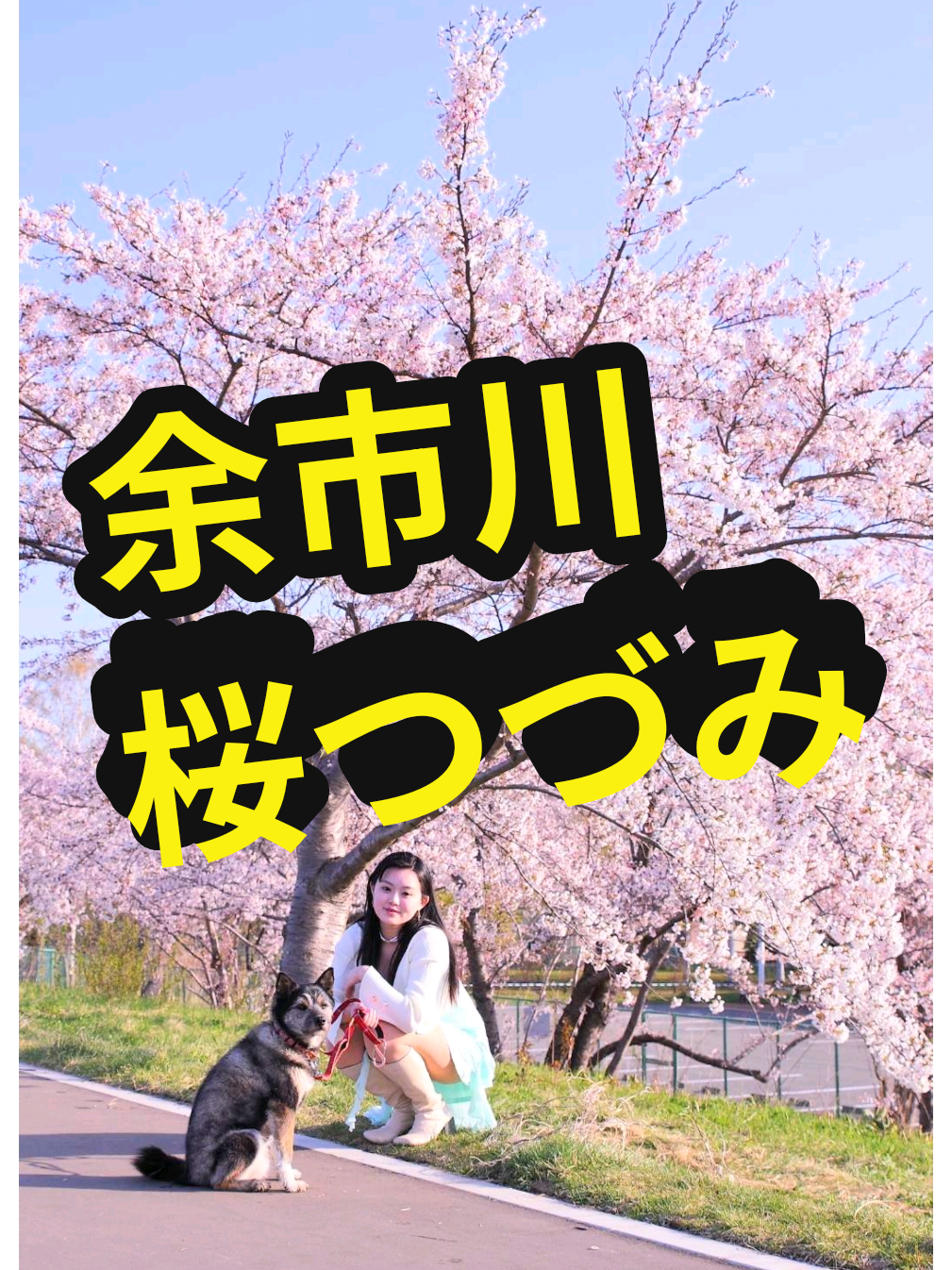 @U^ェ^U 小樽市に住む犬『まかろん』の飼い主