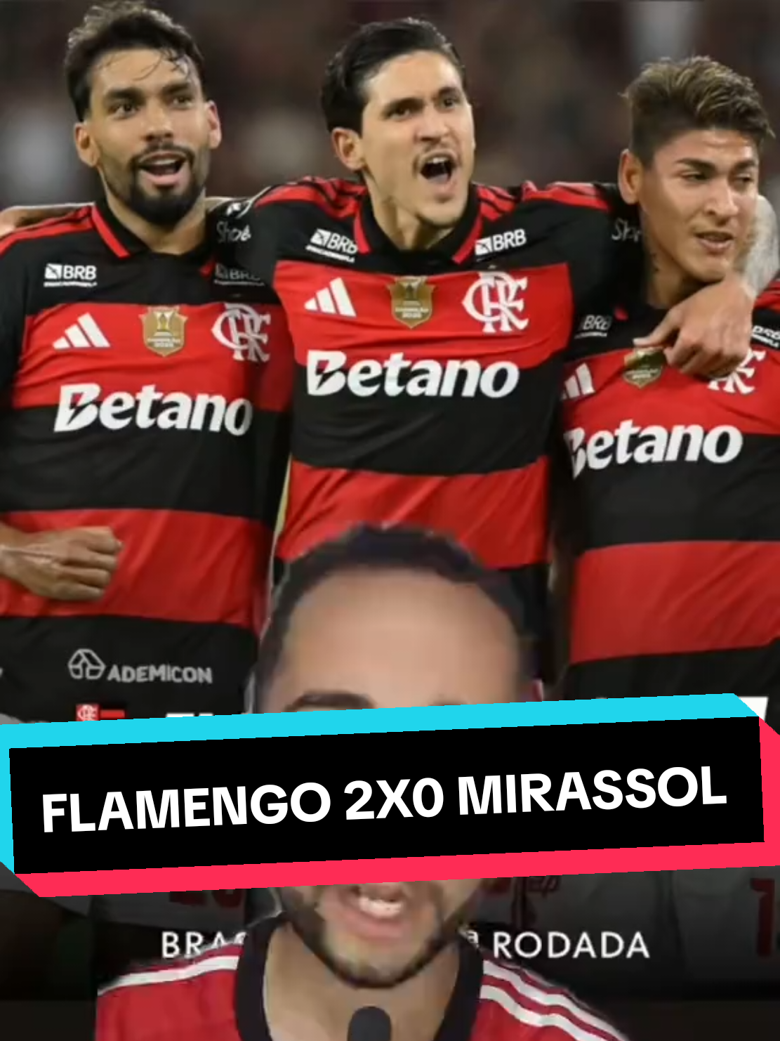 @analistaleigo