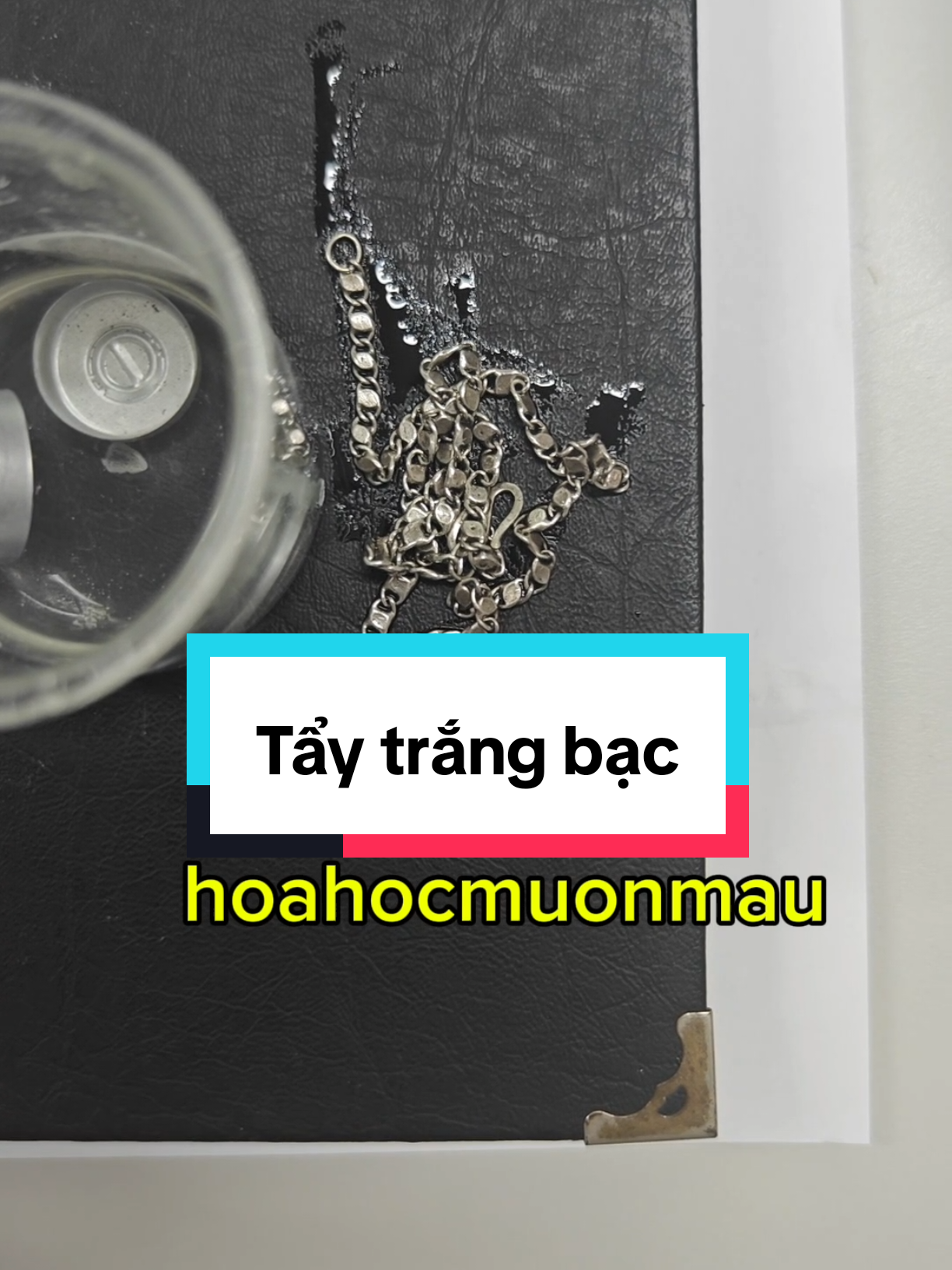 @hoahocmuonmau