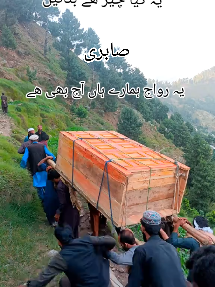 @Abdul Aziz Sabri