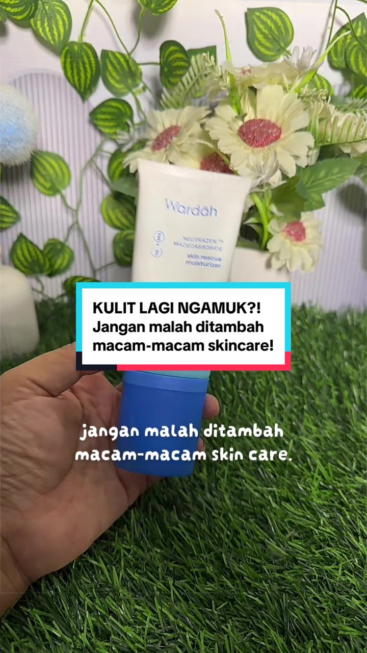 @Hikmahcamelia