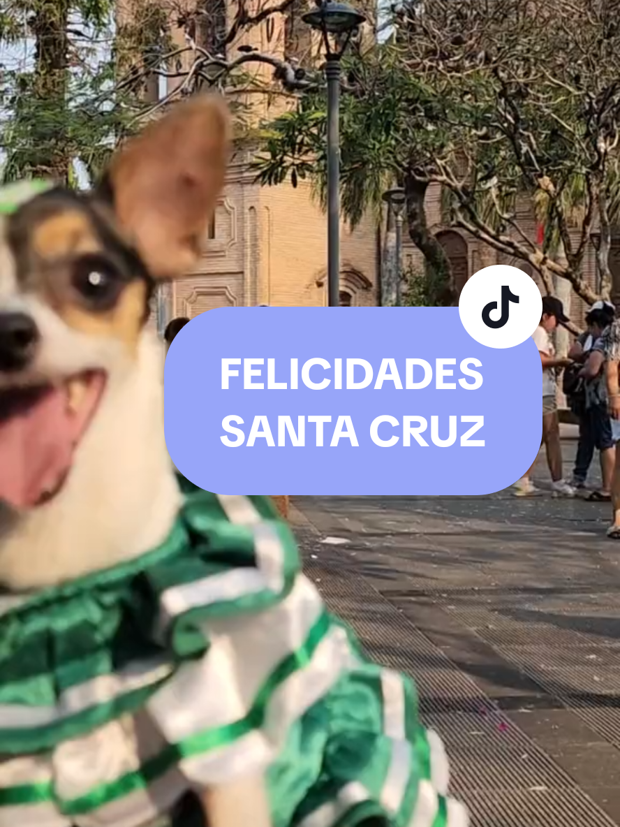 @FityGuau Moda canina y Felina