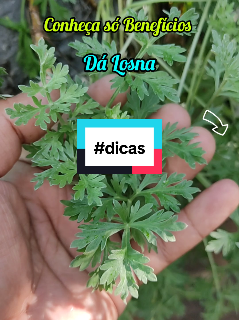 @natureza e saúde