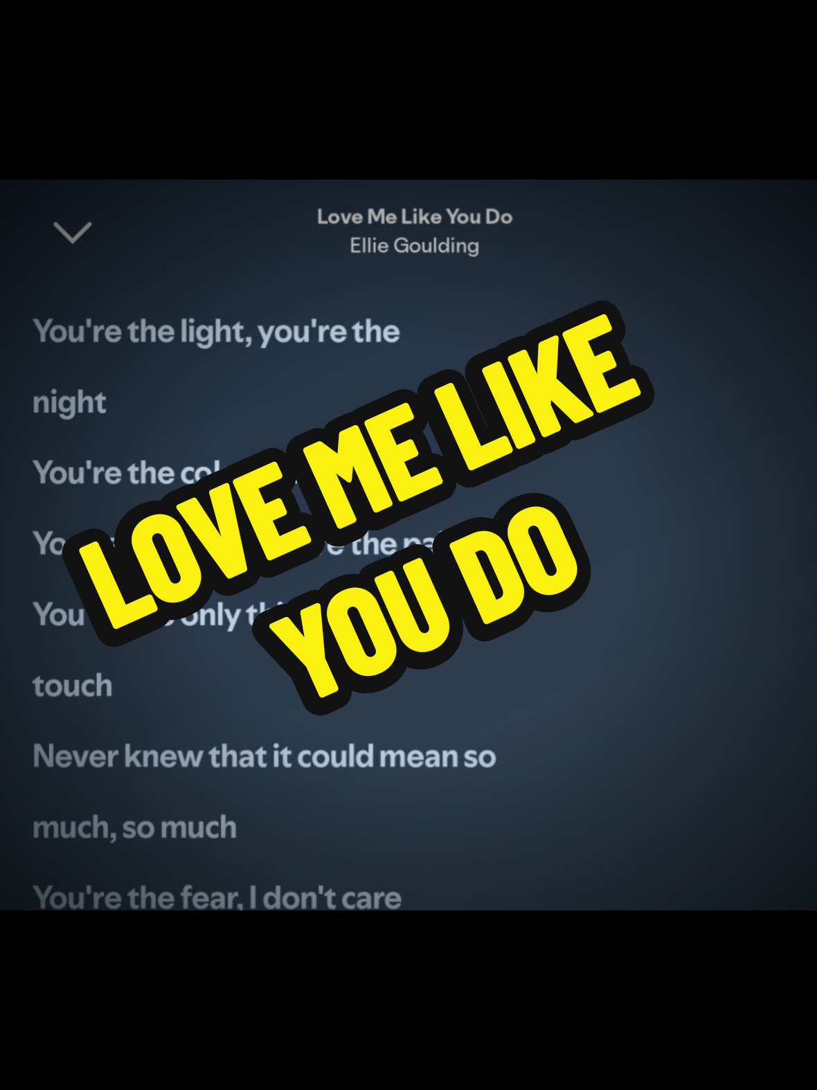@Dog Narrator 🐶 | Lyrics