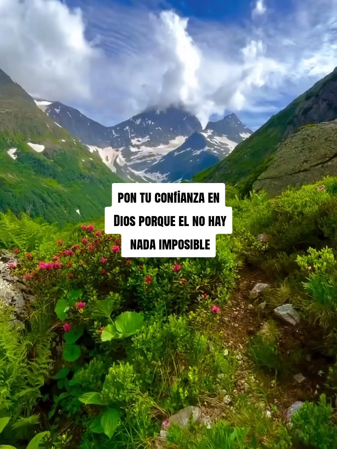 @@Teo Rodriguez
