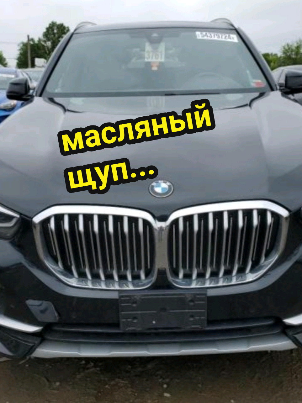 @Рыся✔️🇧🇾
