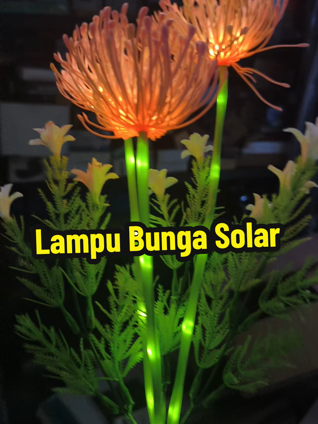 @Pak Ndak Koba