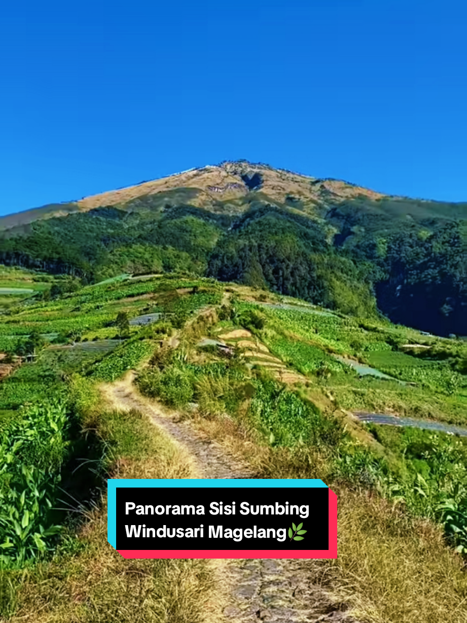 @SISI_SUMBING