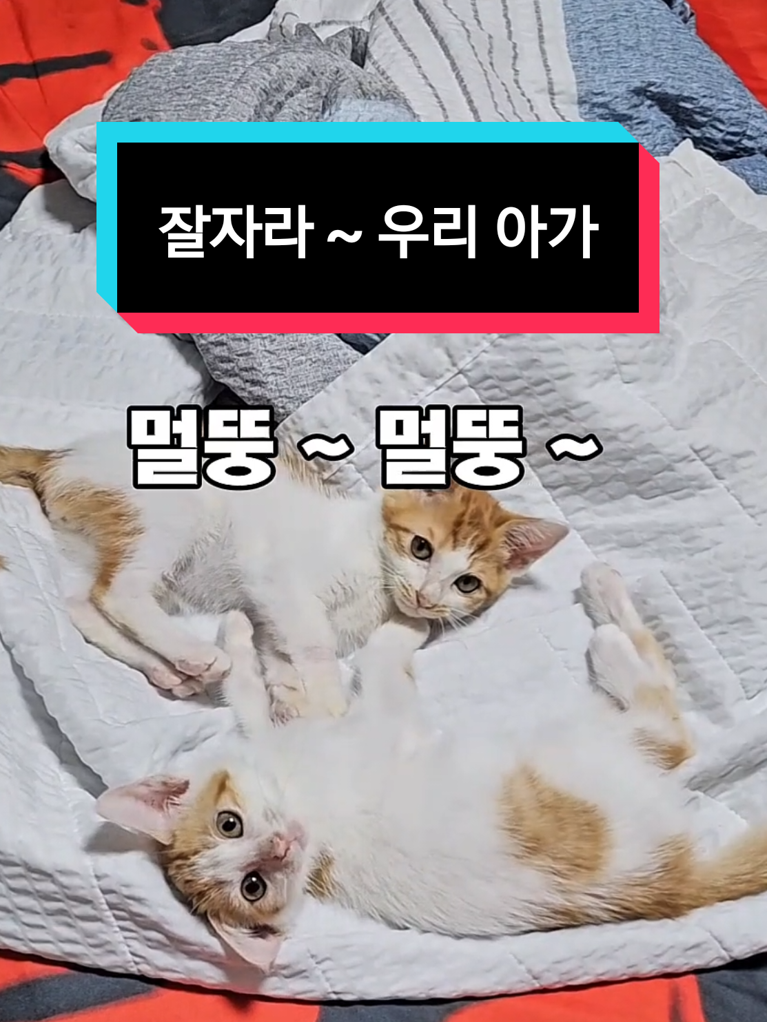 @๐ฉ์ด์์ฌ×234๐ฉ