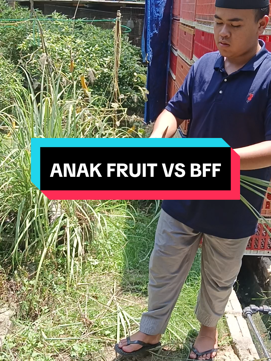 @PUAN ZUE HUSIN