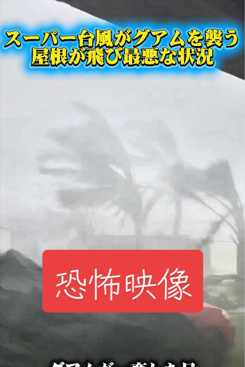 @春活channel