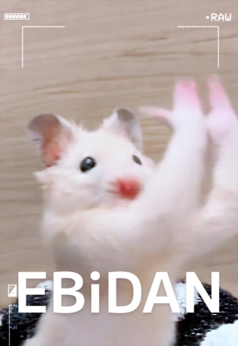 @FCham
