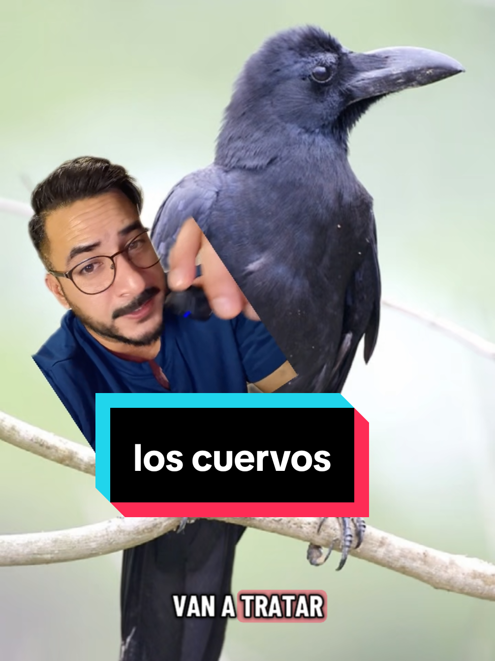 @nolosejose