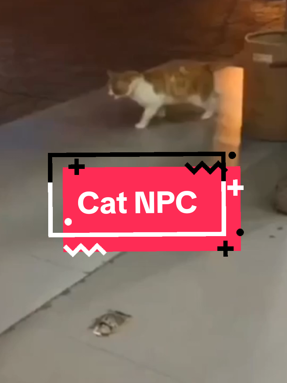 @Chris The Game Dev