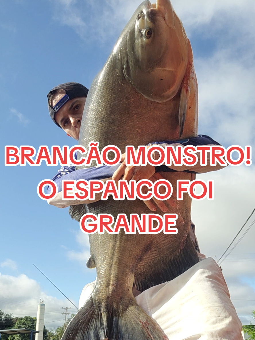 @Renan