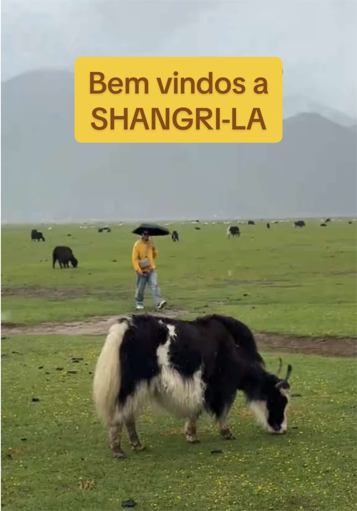 @@ossaboresdomundo