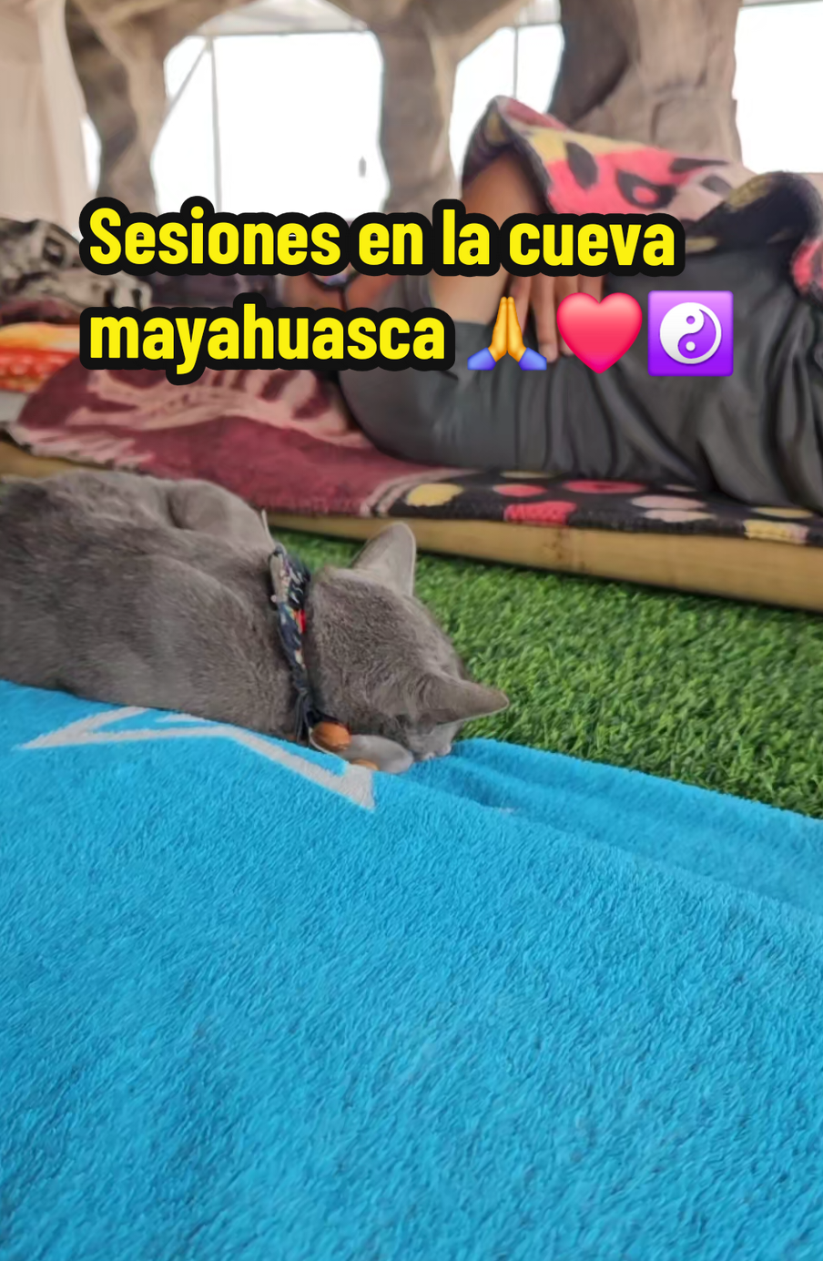 @Mayahuasca❤️