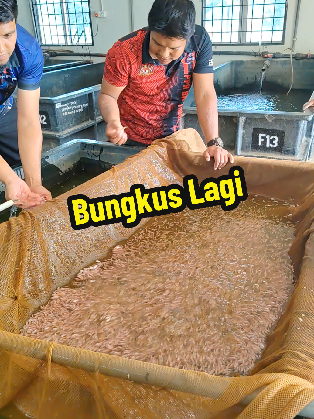 @DiZuL