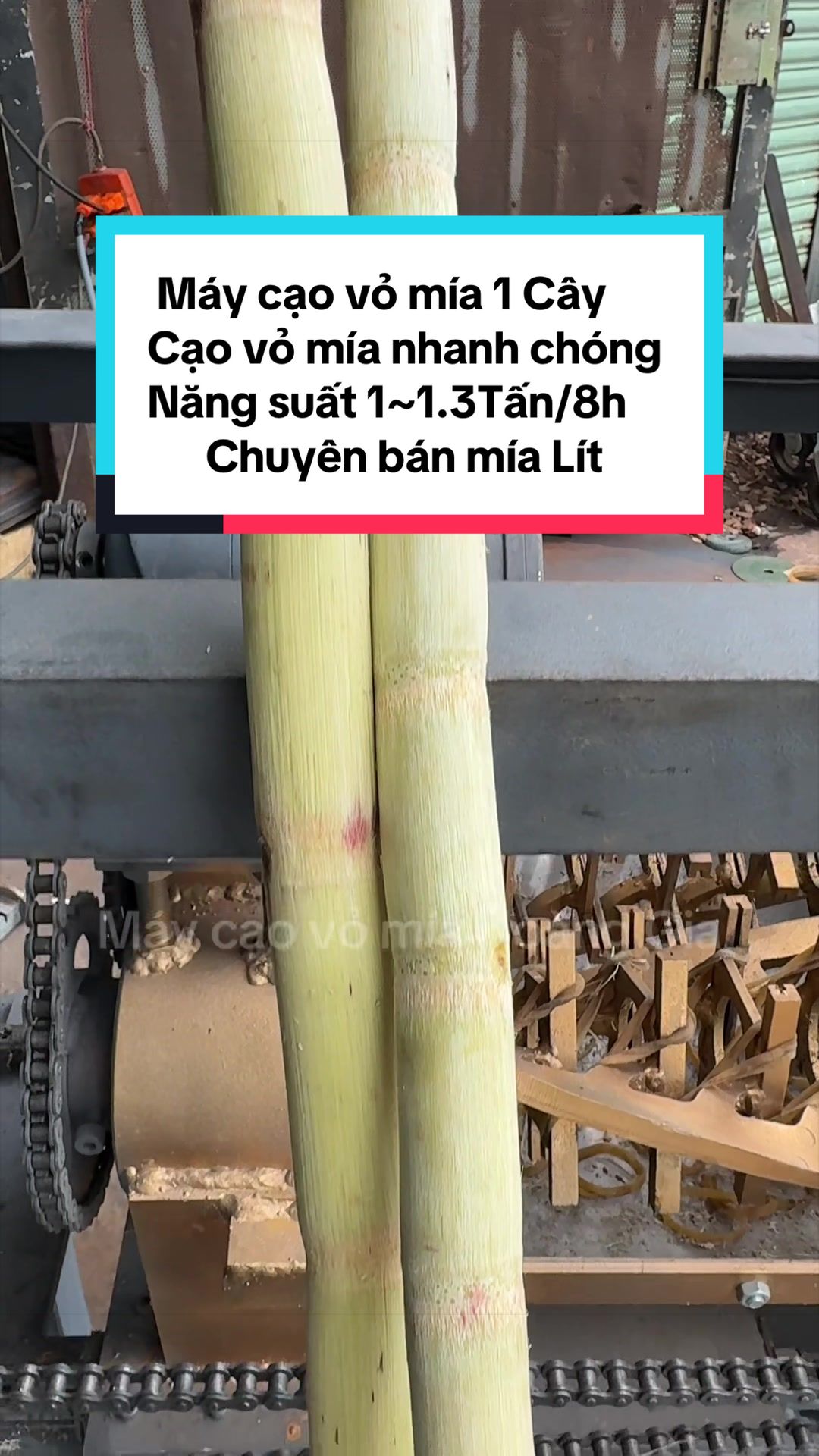 @MayEpMiaSaiGonPhuThinh