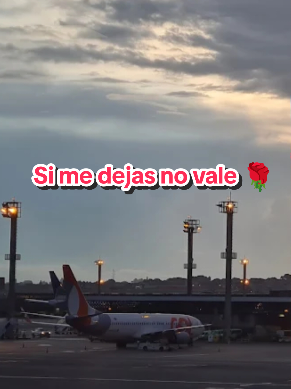 @Javi