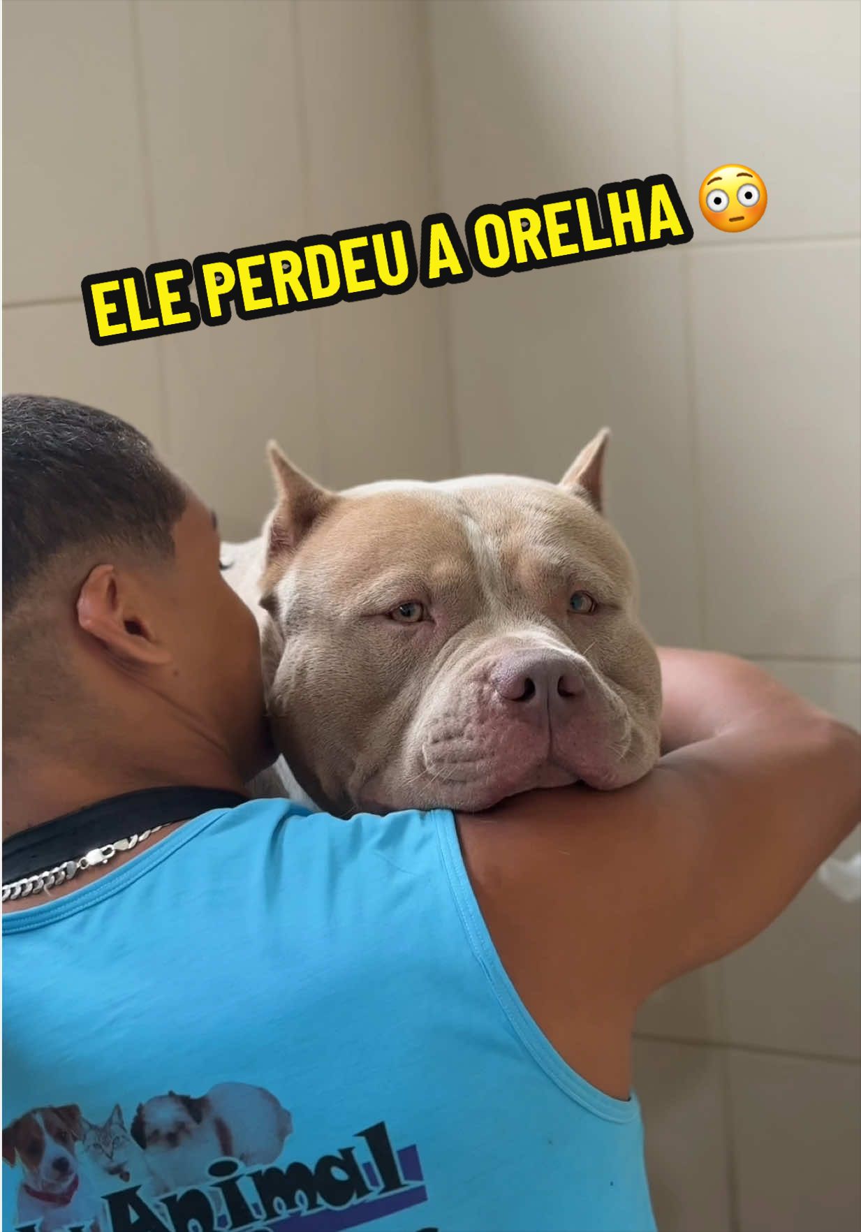 @Família Ragnar 🐶