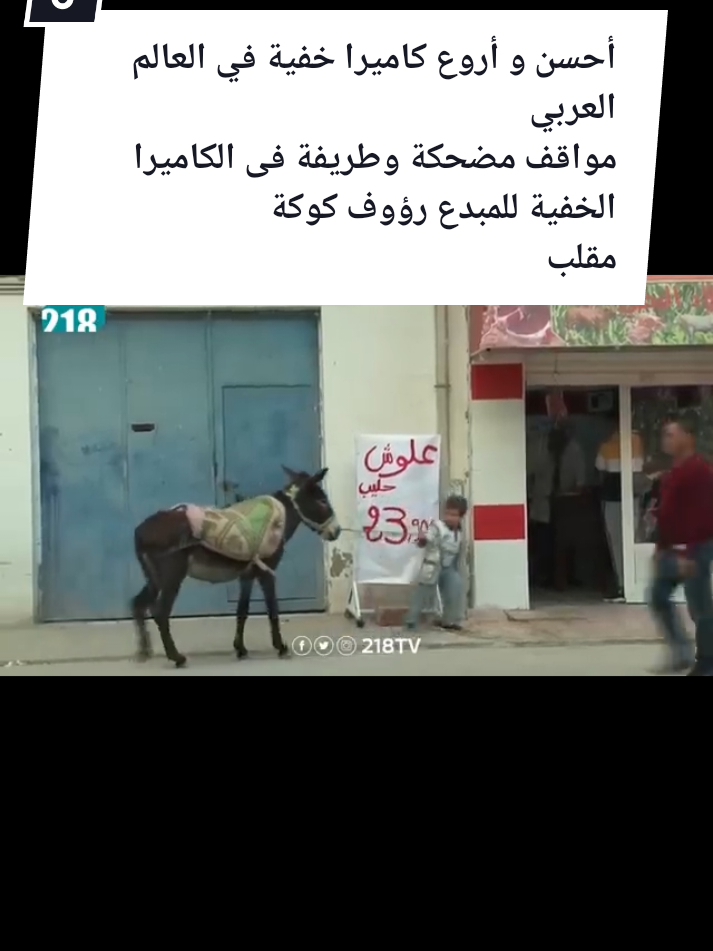 @Zizi تونس 💯