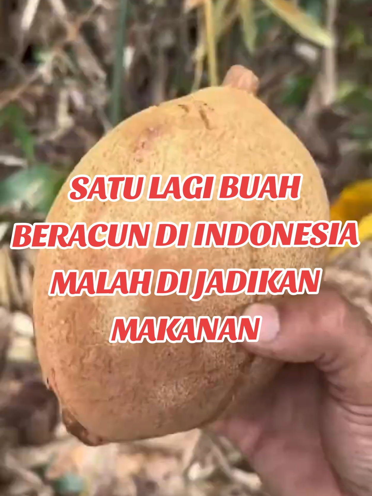 @PENJELAJAH BUMI.