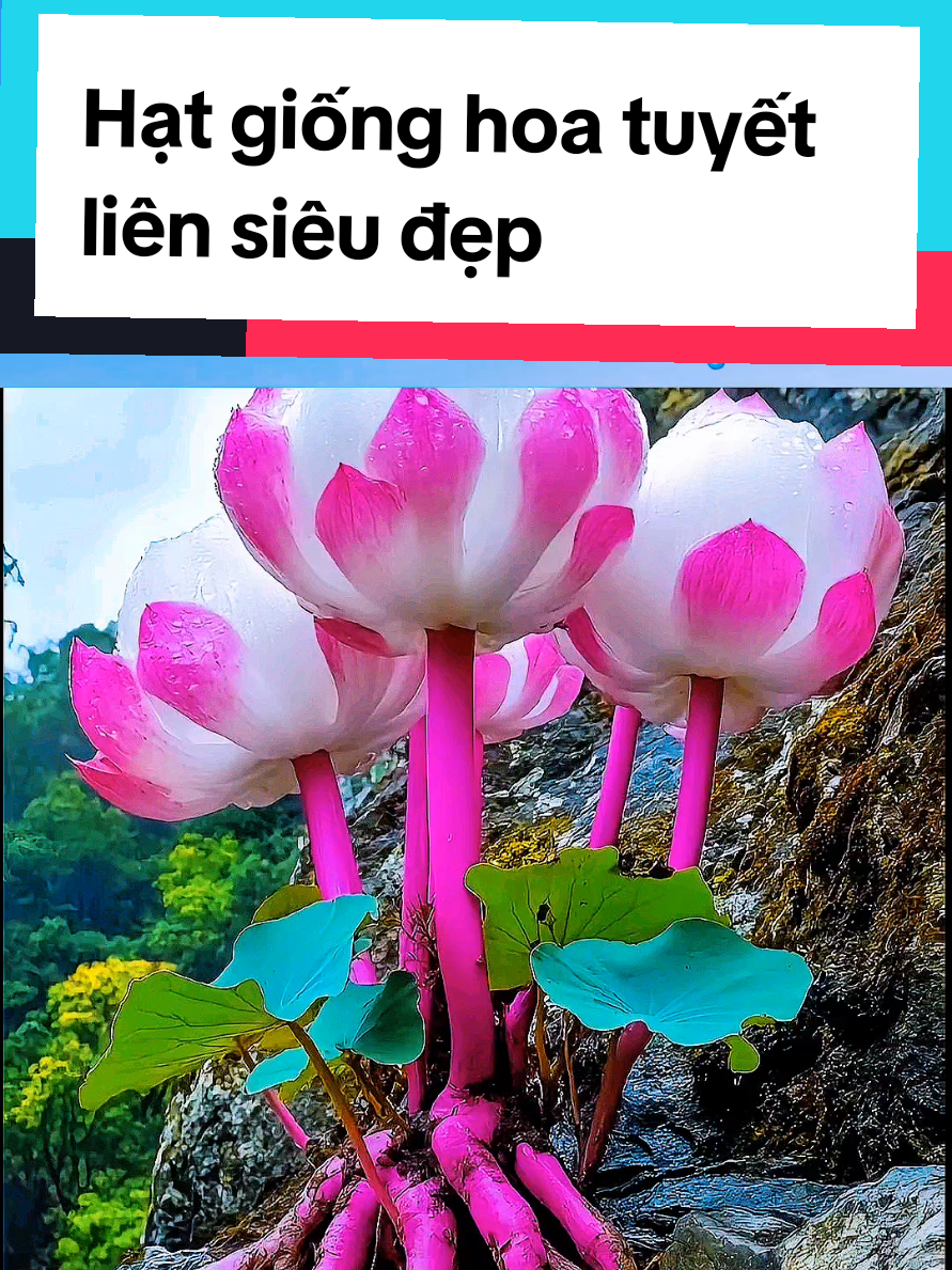 @@1Huyền Nguyễn