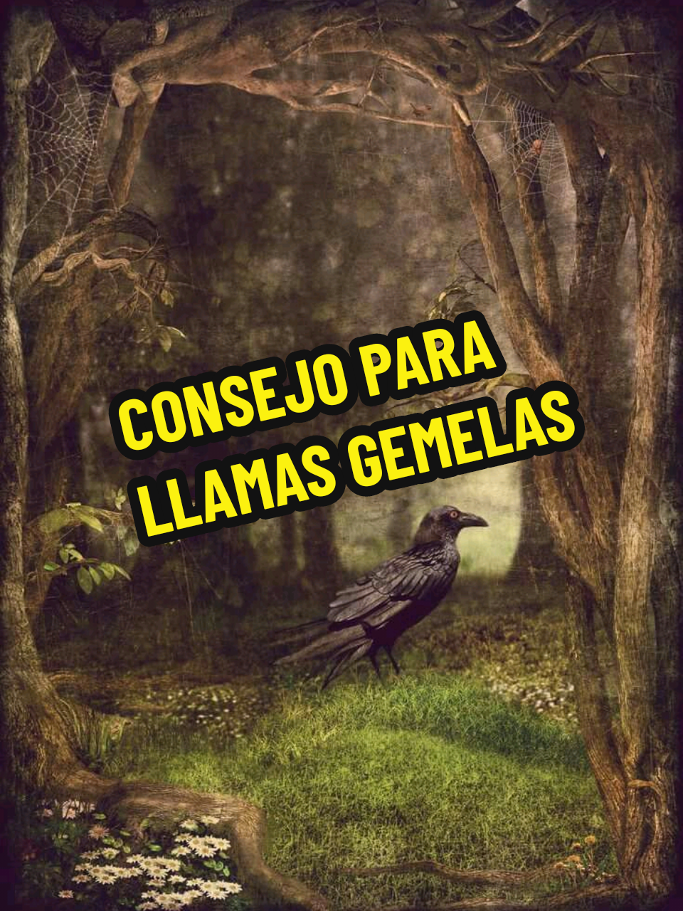 @Odin ᛉ