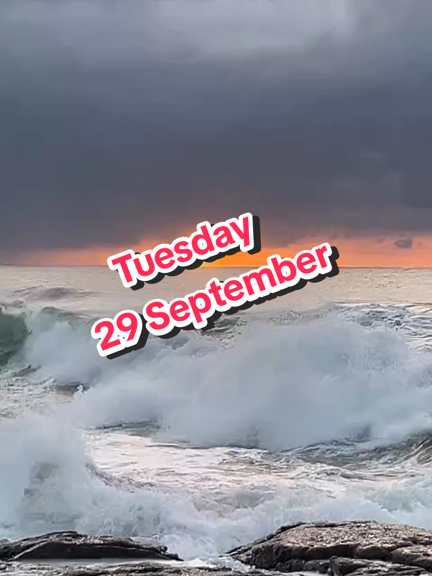 @Werner 🔆 🌊 🇿🇦