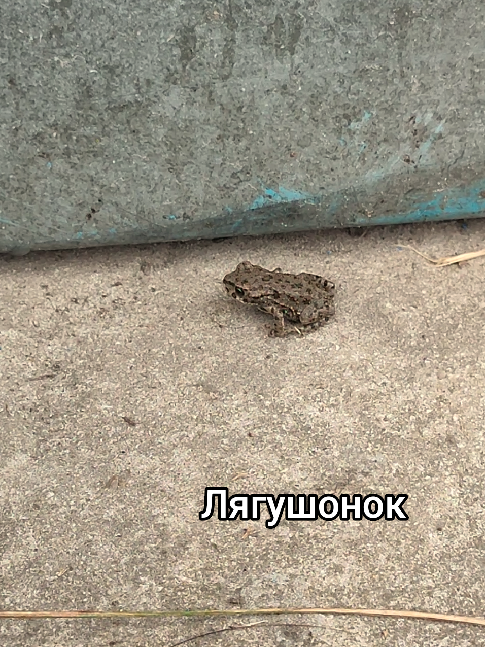 @Наталья