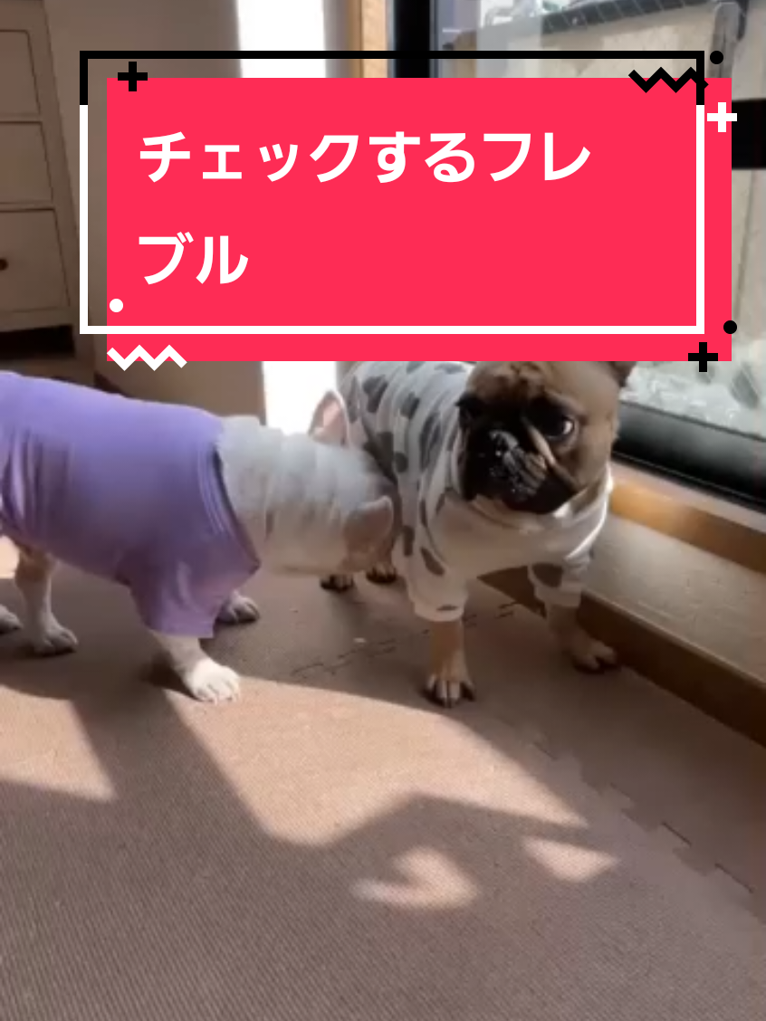 @フレブルJesse ❤️ MyO