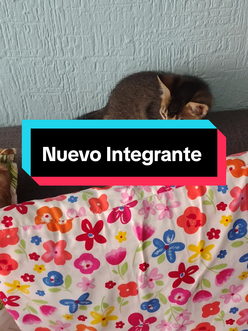 @Los MoyiKary Oficial