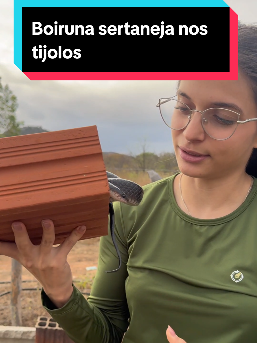 @Princesa das Serpentes