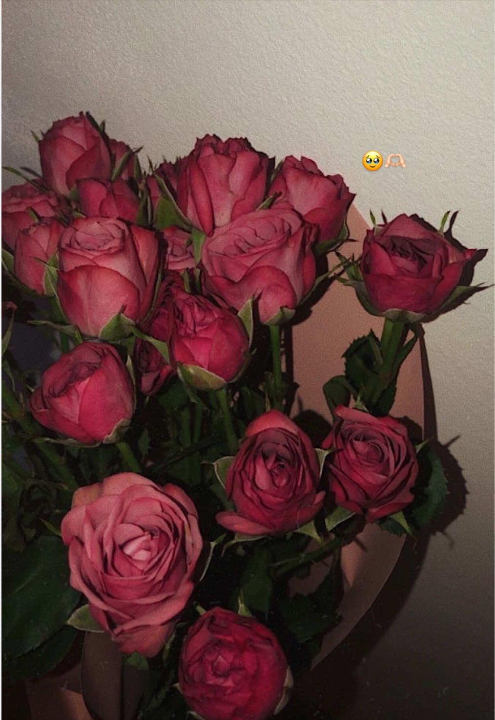 @Romayssae❤️