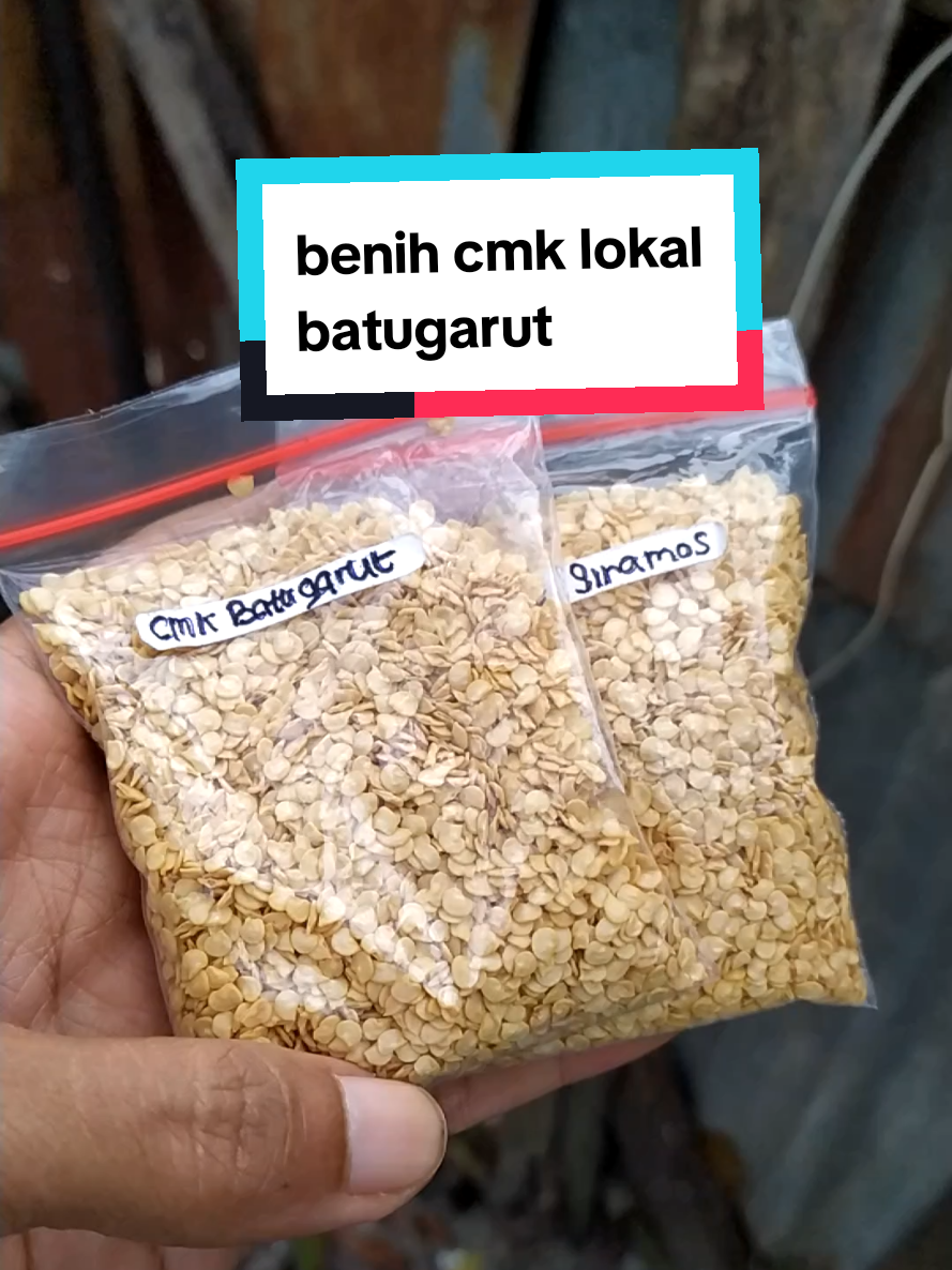 @koliang81