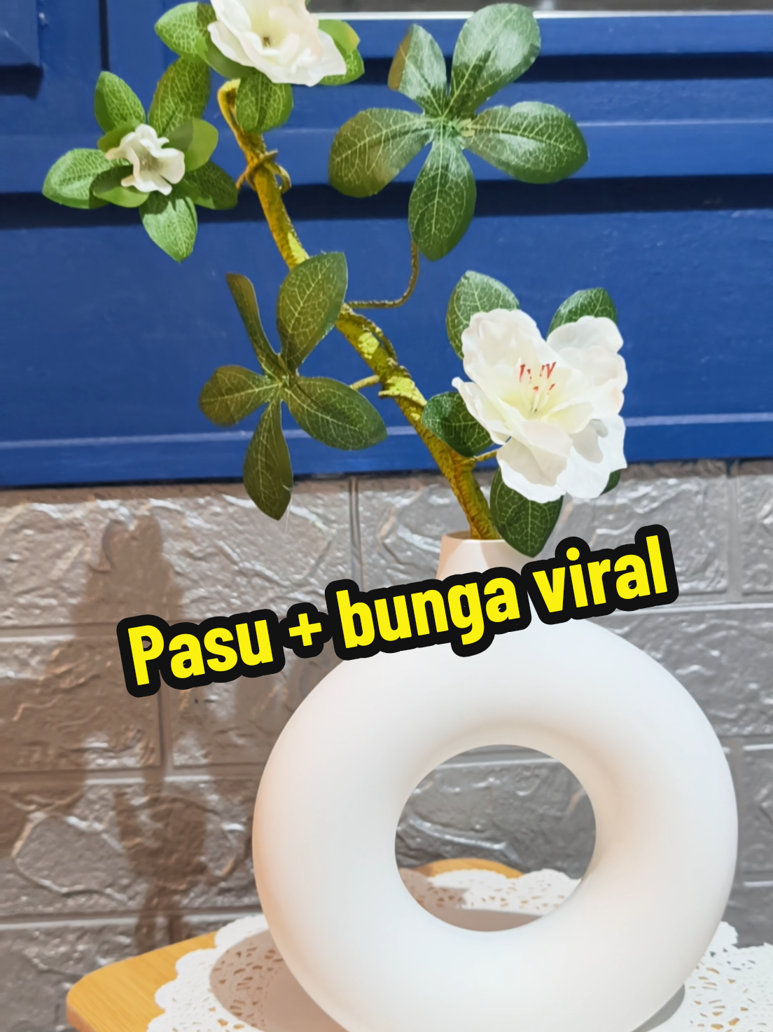@CW Suzana