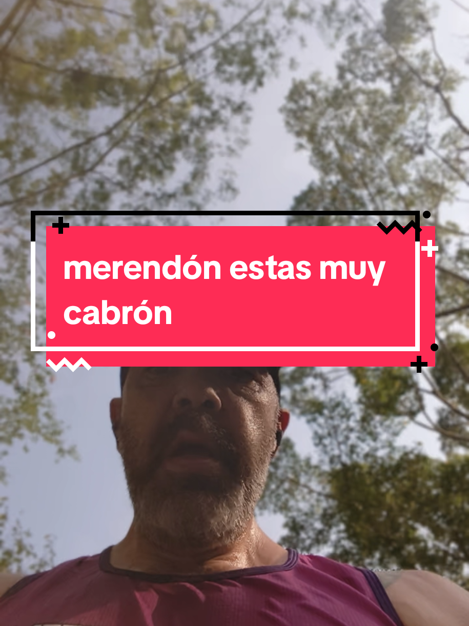 @_elmexa