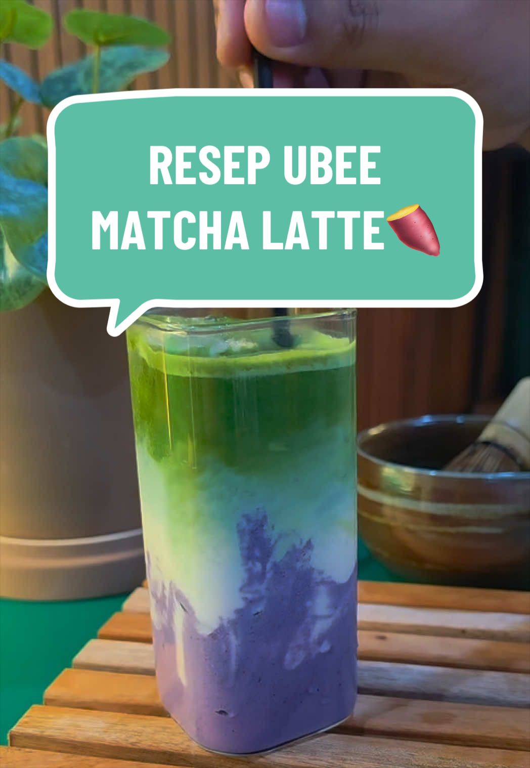 @MATCHASII SUPPLIER MATCHA