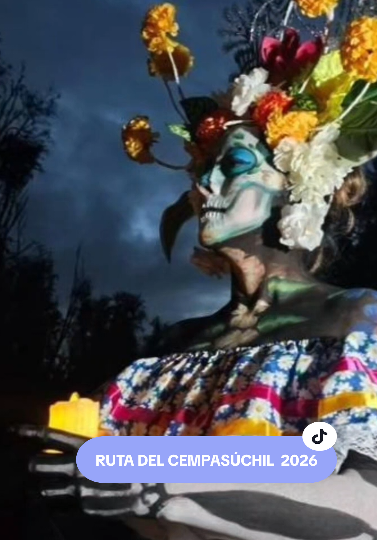 @Carlos Cervantes Godoy