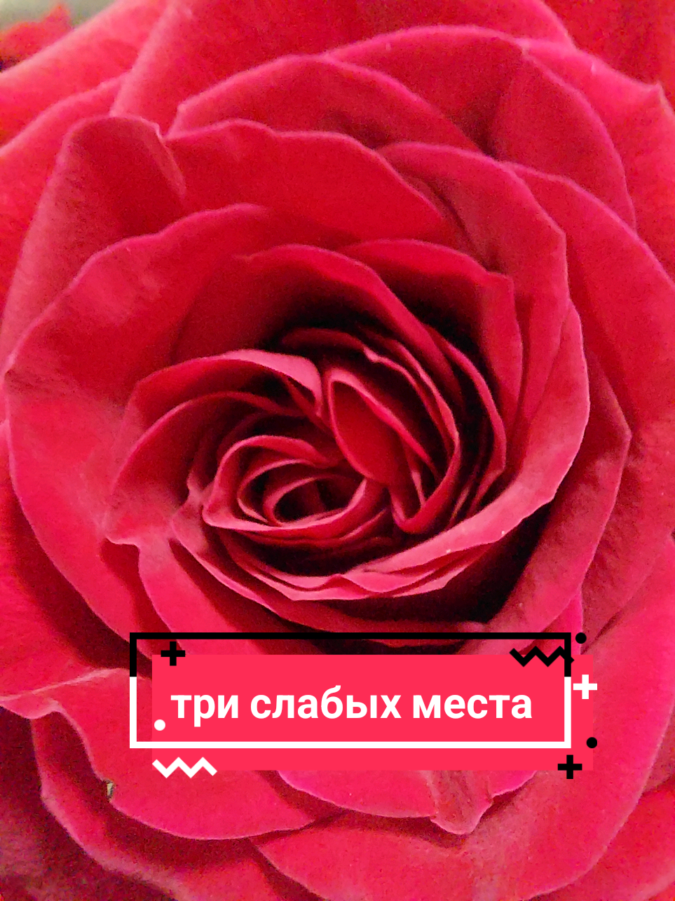 @Рыся✔️🇧🇾
